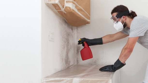 Professional Black Mold Remediation technician working in Crapo, MD